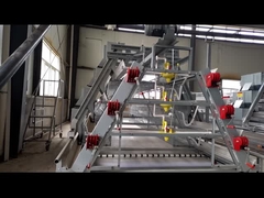 كتكوت دجاج كيج