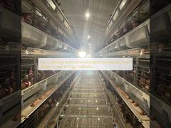 Egg Collecting Accessories Included Eco-Friendly Layer Chicken Cage for Egg Collection