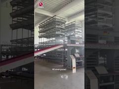 نظام الدواجن الآلي لطبقة الدجاج على شكل H