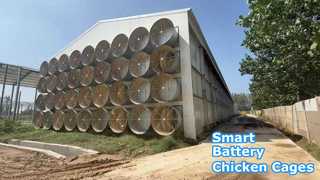 سقيفة الدجاج ذات طبقة البطارية التي تسيطر عليها البيئة