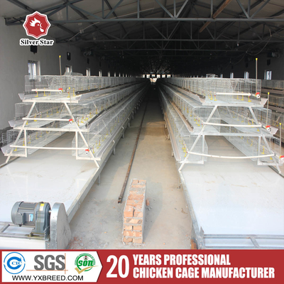 Hot Dip Galvanize Steel A Type Chicken Farm Equipment Battery Layer Automatic Chicken Cages With Egg Laying System