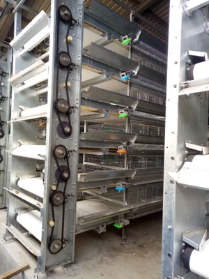 Designed For Laying Hens, This Poultry Farm House Layer Battery Cage , Ensuring Efficient Production
