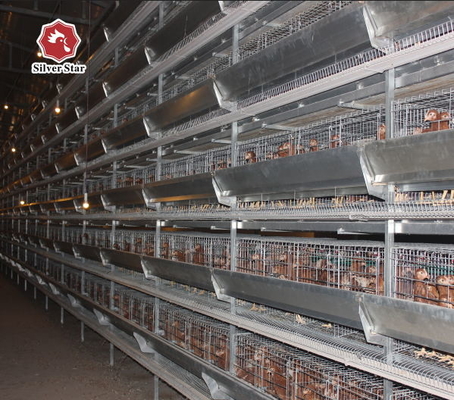Designed For Laying Hens, This Poultry Farm House Layer Battery Cage , Ensuring Efficient Production