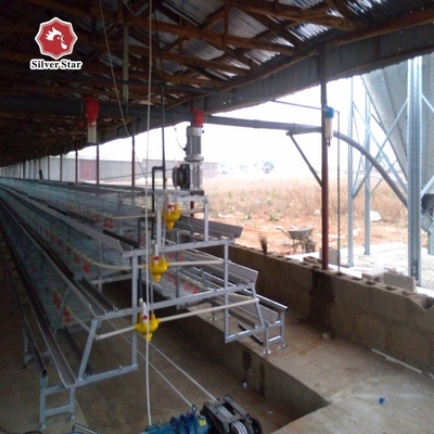 Q235 Hot  Galvanized Automatic Day Old Chicks Cage For Poultry Farm