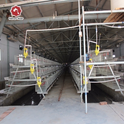 Q235 Hot  Galvanized Automatic Day Old Chicks Cage For Poultry Farm