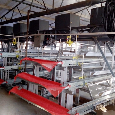 43*41Cm Full Automatic Battery Chicken Cage System U Type Galvanized Silver Color