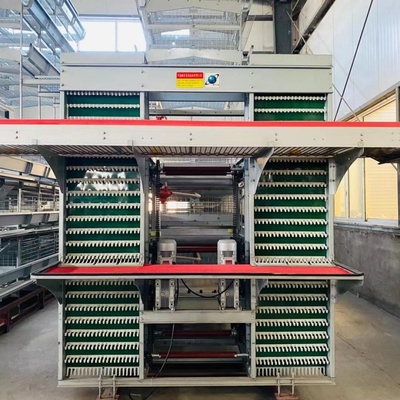Designed For Laying Hens, This Poultry Farm House Layer Battery Cage , Ensuring Efficient Production