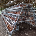 Hot Dipped Galvanized A Type Layer Chicken Cage For Farm