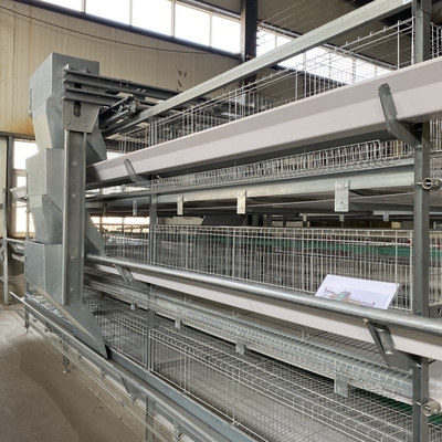 Hot Galvanized Automatic A-type H-type Poultry Cage For Bathroom In Laying Hens Farm