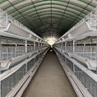 H Type Chicken Feeder Cage Animal Laying Chicken Cages For Broilers And Chicks