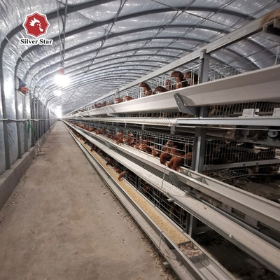 Poultry Farming Battery Cage System With Hot Galvanized Coating For Laying Hens