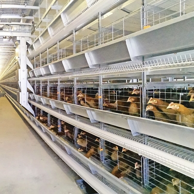 Poultry Farming Battery Cage System With Hot Galvanized Coating For Laying Hens