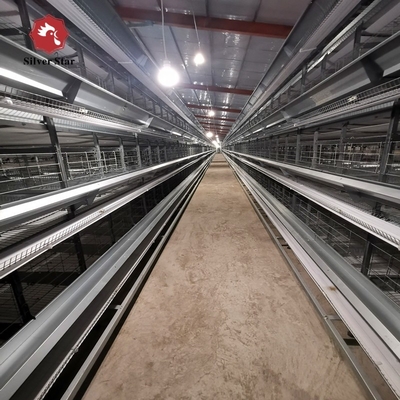 Q235 H Type Automatic Broiler Chicken Cage In Poultry Farm