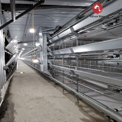 Q235 H Type Automatic Broiler Chicken Cage In Poultry Farm