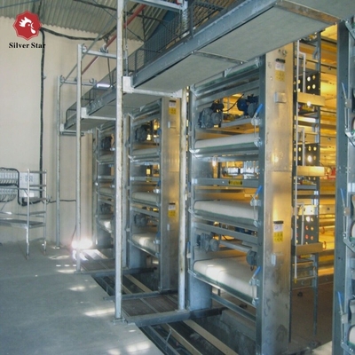 Q235 H Type Automatic Broiler Chicken Cage In Poultry Farm