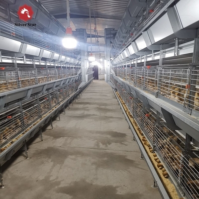 Q235 H Type Automatic Broiler Chicken Cage In Poultry Farm
