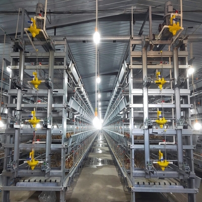 Hot Galvanized Automatic Broiler 3 Tiers 4 Tiers H Type Battery Poultry Chicken Cage