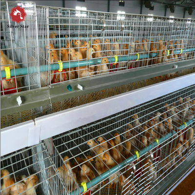 Automatic Poultry Broiler Chicken Cages For Baby Chicks H Type Design