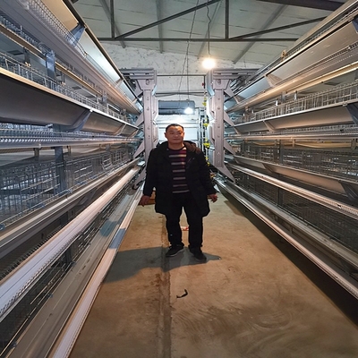Battery Layer Eggs Chicken Cages H Type Hens Cold Dipped 7Tiers