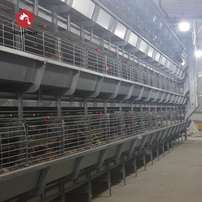 Automatic Poultry Broiler Chicken Cages For Baby Chicks H Type Design