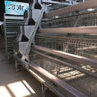 Full Automatic Battery Chicken Cage Hot Dip Galvanized Wire 3-4 Layers
