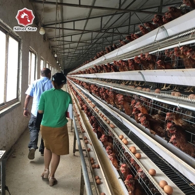 Poultry Farm Layer Chickens Battery Cages Automatic Layer Poultry Cage With Feeder And Drinker