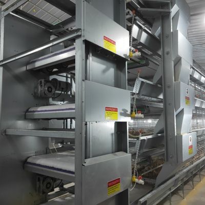 H-Type Automatic Layer Battery Cage System 15-20 Year Service Life Fully Automated Hot-Dip Galvanized for Poultry Farming