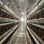 Hot Dip Galvanized Layer Chicken Cage With Stacking High Feeding Density Increased Productivity