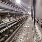 Hot Dip Galvanized Layer Chicken Cage With Stacking High Feeding Density Increased Productivity