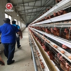 Deep Galvanized Egg Laying Layer Chicken Cage Prevent Disease Infection