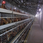 H Type Complete Automatic Broiler Chicken Cage 4 Tiers