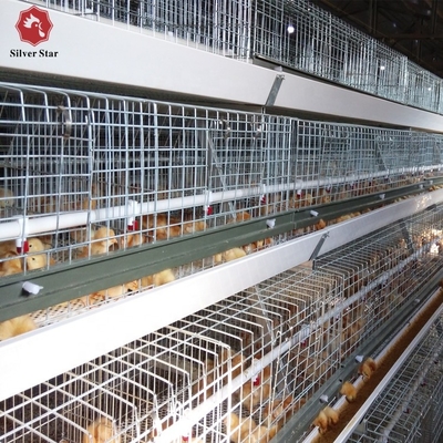 Automatic Poultry Broiler Chicken Cages For Baby Chicks H Type Design
