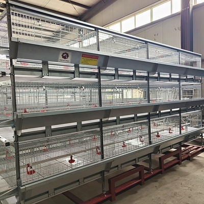 Automatic Poultry Broiler Chicken Cages For Baby Chicks H Type Design