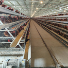 Hot Dipped Galvanized A Type Layer Chicken Cage For Farm