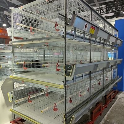 Q235 H Type Automatic Baby Chicks Cage For Layers Pullet Cage Day Old Chicks Cage