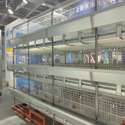 Q235 H Type Automatic Baby Chicks Cage For Layers Pullet Cage Day Old Chicks Cage