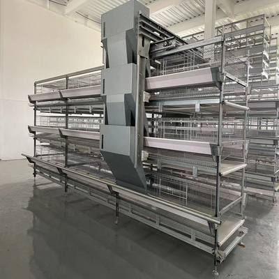 Chicken raising equipment poultry farm chicChicken raising equipment poultry farm chicken cage layer chicken cage system