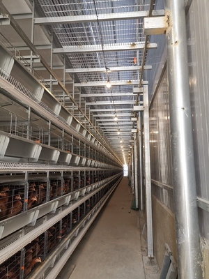 Hot-dip Galvanized Chicken Cages With Stacked Layers Boost Feeding Density And Productivity.