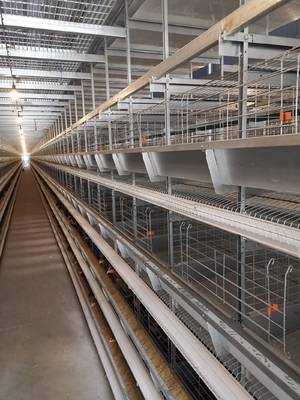 Hot-dip Galvanized Chicken Cages With Stacked Layers Boost Feeding Density And Productivity.