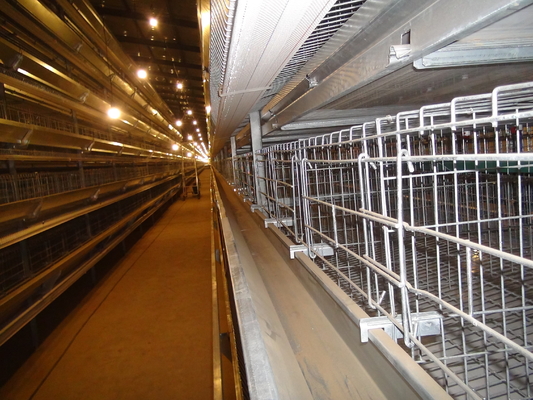 A Type H Type Battery Layer Chicken Cages Automatic Egg Poultry Farming Equipment System