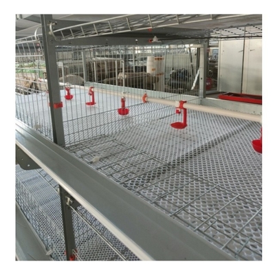 Poultry Farm Automatic A Type Galvanized Layer Egg Laying Chicken Battery Cage System