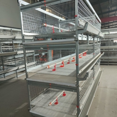 Hot Galvanized Poultry Farm Laying Hens Equipment System Automatic Battery Layer Chicken Cage
