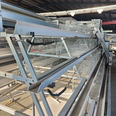 Chicken Egg Laying Hens Cage Commercial Poultry Farming Equipment Automated Chicken Layer Farming Cage