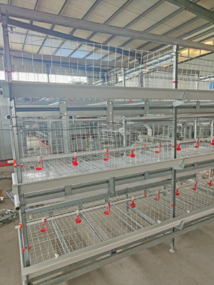 Poultry Farm Layer Chickens Battery Cages Automatic Layer Poultry Cage With Feeder And Drinker
