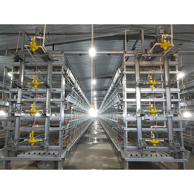 Q235 H Type Automatic Baby Chicks Cage For Layers Pullet Cage Day Old Chicks Cage