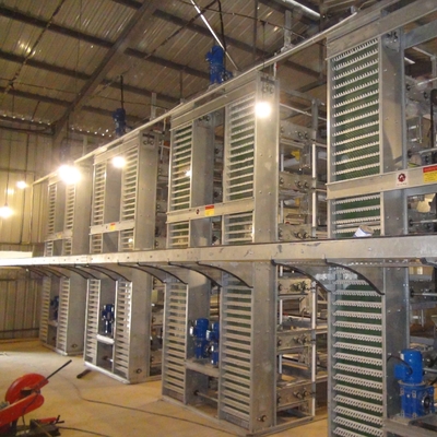 2024 Q235 A-Type Automatic Chicken Coops Layer Battery Cage System For Capacity Poultry Farms