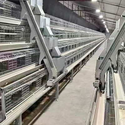 2024 Q235 A-Type Automatic Chicken Coops Layer Battery Cage System For Capacity Poultry Farms
