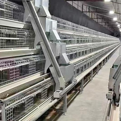 Automatic Poultry Farming Equipment Battery Cage For Laying Hens Battery Cage For Chicken