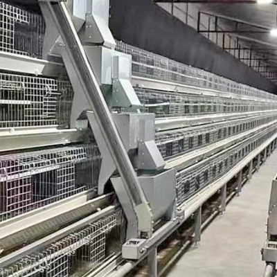 Poultry Farm Layer Chickens Battery Cages Automatic Layer Poultry Cage With Feeder And Drinker