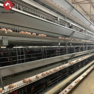 Hot-Dip Galvanized Automatic Chicken Cages For Egg Laying, Battery Cage Farming Equipment With Egg Collection And Disinf